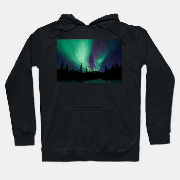 Alaskan Northern Lights Hoodie by ACGraphics